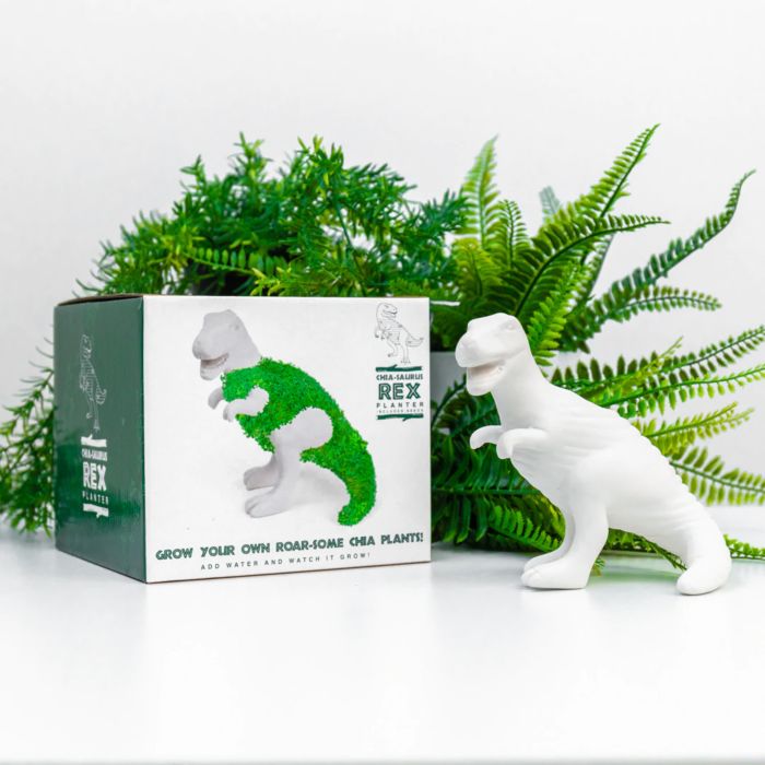 Chia Saurus Rex Planter - De Groene Dinosaurus